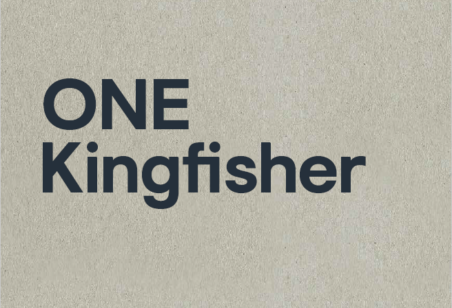 One kingfisher
