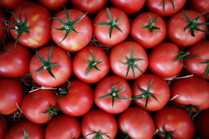 フランスのマルシェに並ぶトマト