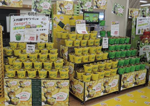 アピタ宇都宮店バケツ入りキウイ2品種の大陳展開