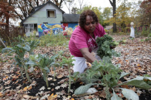 ミシガン州デトロイトのブライトモア地区の、ある廃屋に隣接する空き地を利用した菜園で野菜を収穫するグウェン・シバーズさん