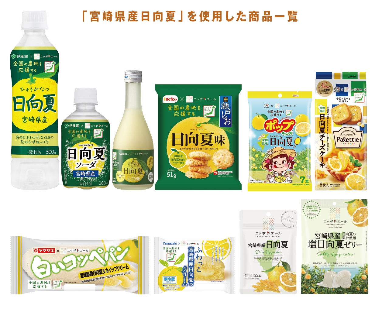 「宮崎県産日向夏」を使用した商品一覧