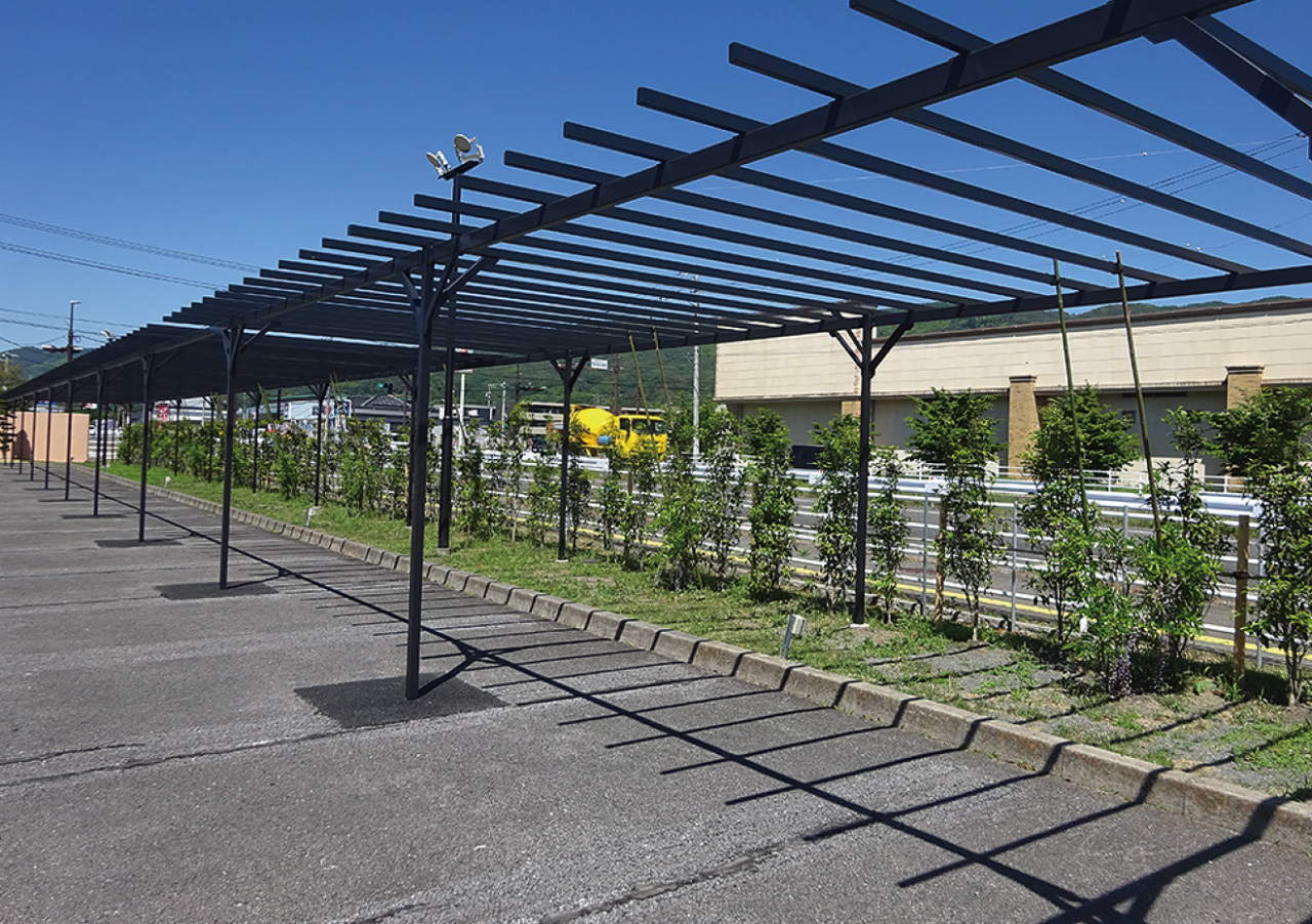 四季折々の木を植える