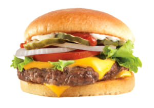ウェンディーズバーガーUSA