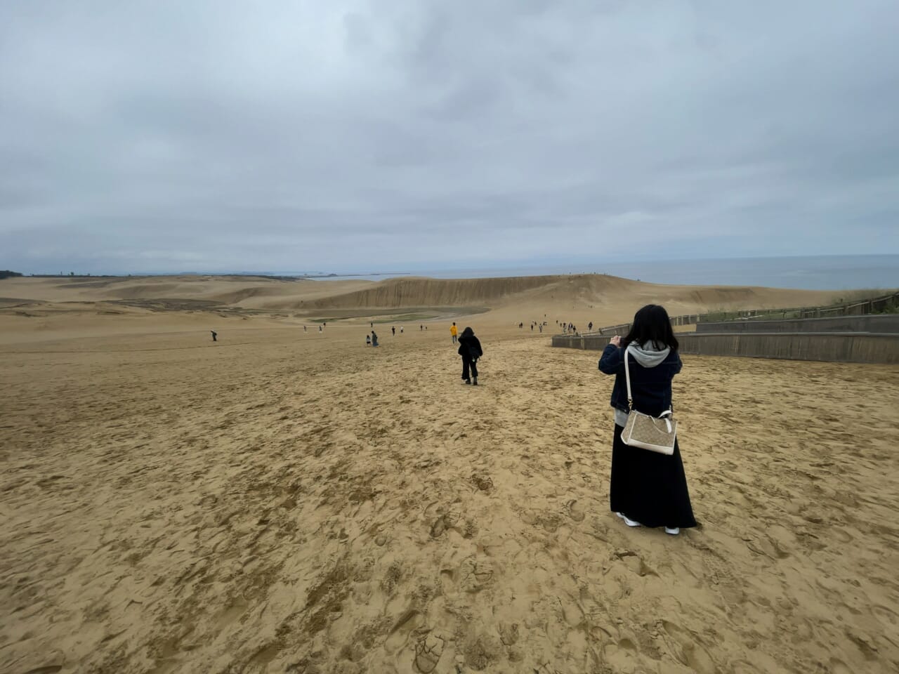 初めての鳥取砂丘に大興奮