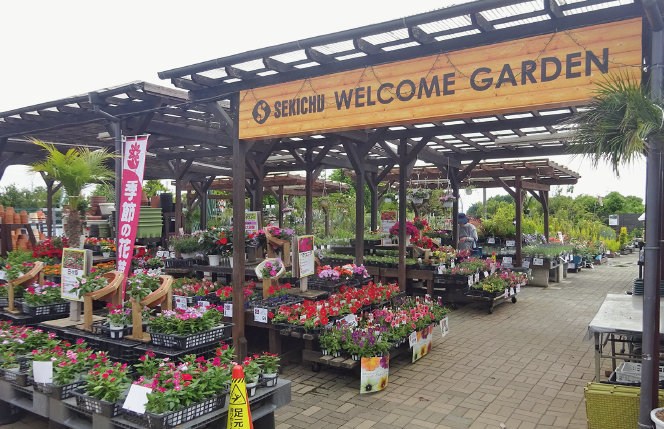 セキチュー上尾店の園芸の外売場