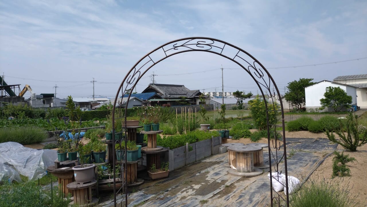 いずみピクルス自社ハーブ園