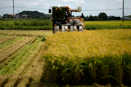 コンバインで稲刈りをする農家