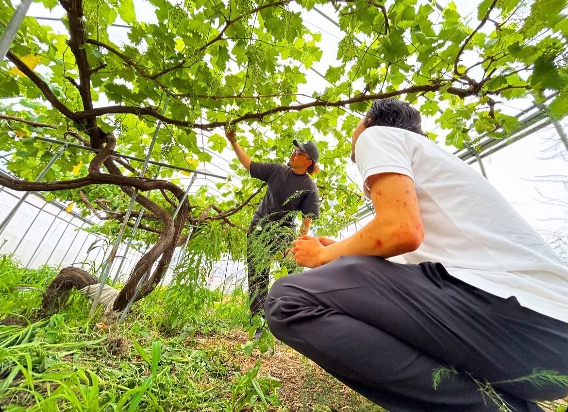 フォレストバンク農場訪問の様子