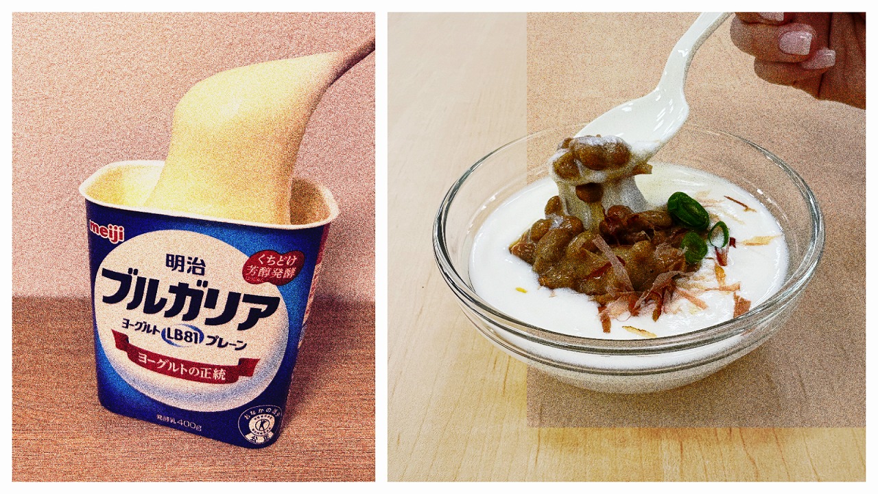 「ヨーグルトもち」と「発酵のトライアングル」